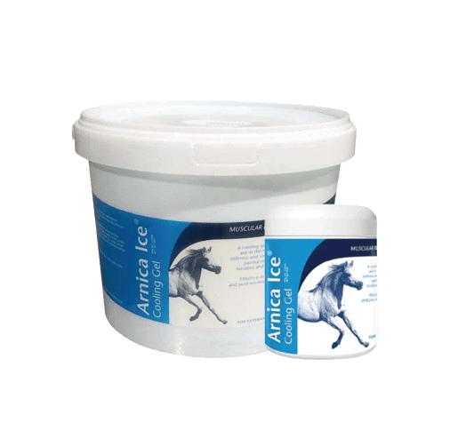 Arnica Ice Cooling Gel 2.5 kg