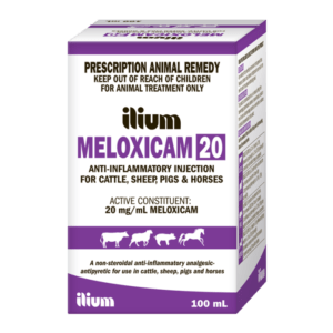 Ilium Meloxicam 20