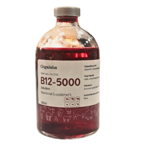 B-12 5000 Injection