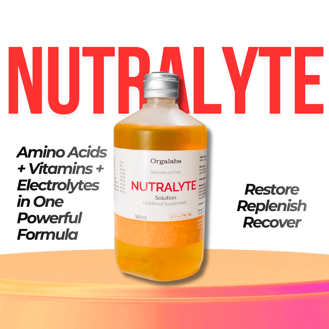 NUTRALYTE injection