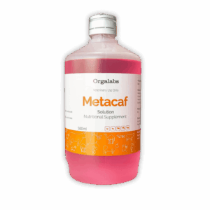 Metacaf Solution Metabolic & CNS Support Injection for Camels & Horses