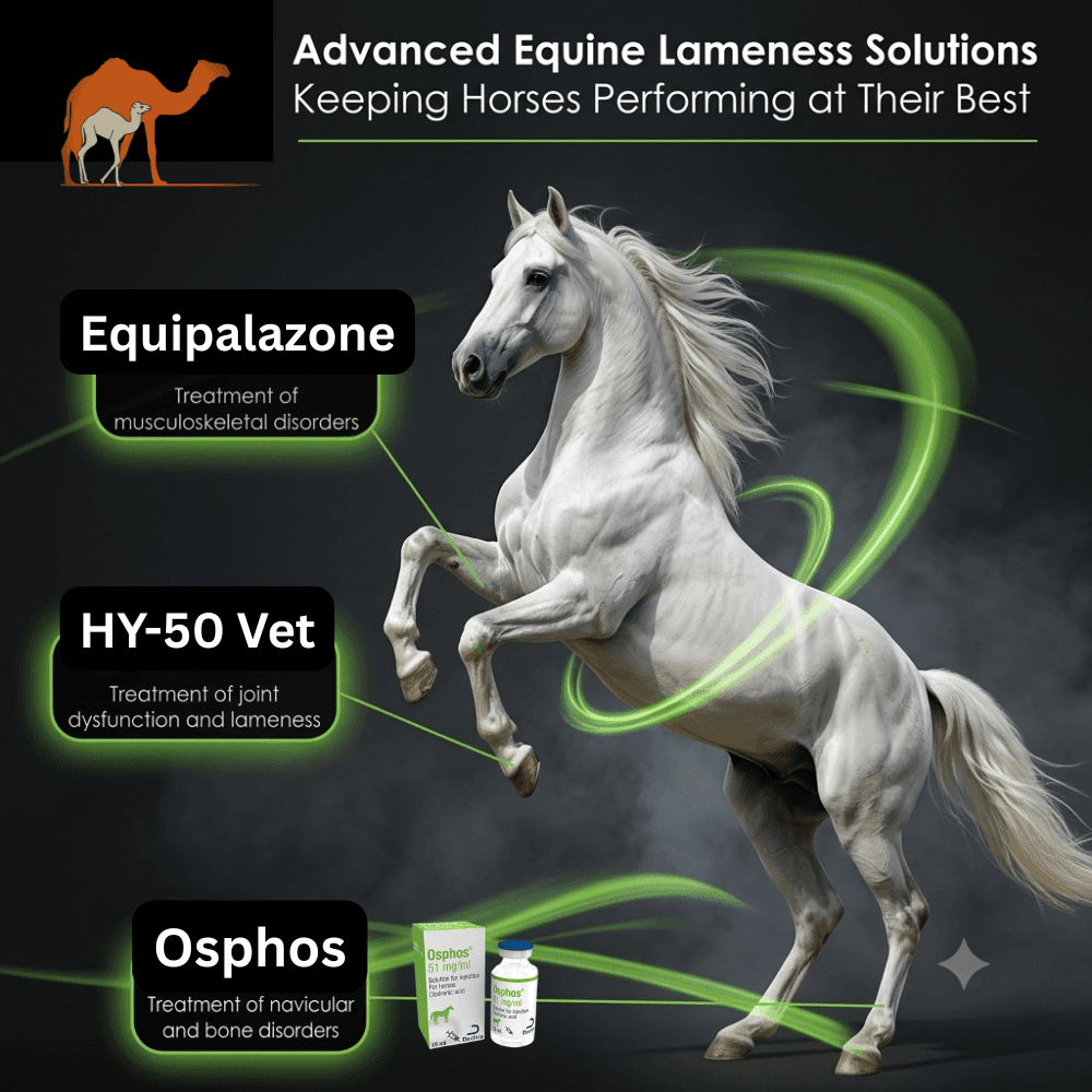 Equipalazone Oral Powder 1g