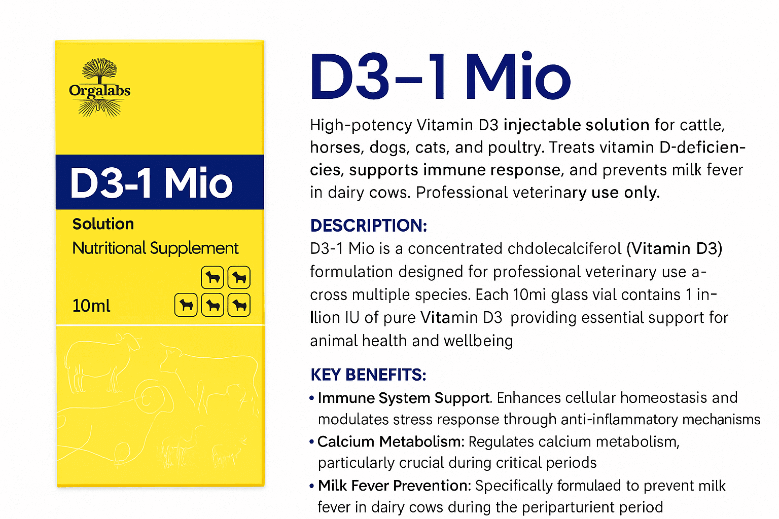 D3-1 Mio Vitamin D3 Injectable Solution